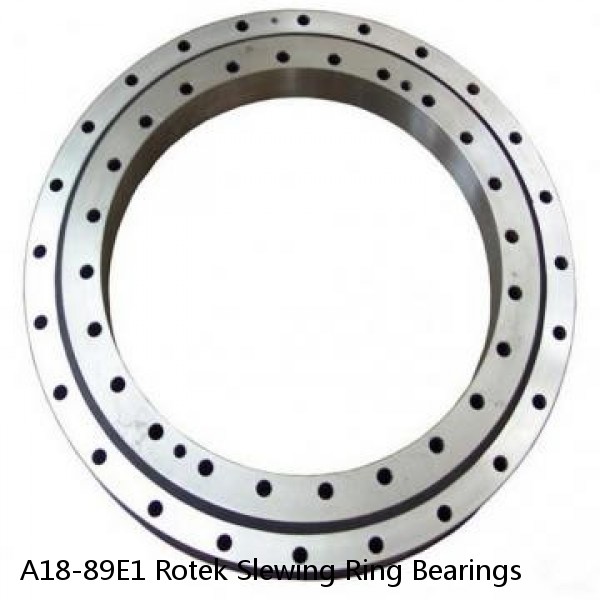 A18-89E1 Rotek Slewing Ring Bearings #1 small image