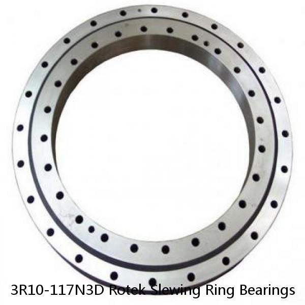 3R10-117N3D Rotek Slewing Ring Bearings #1 small image