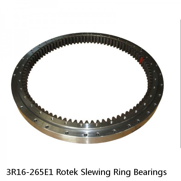 3R16-265E1 Rotek Slewing Ring Bearings #1 small image