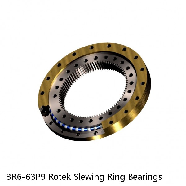 3R6-63P9 Rotek Slewing Ring Bearings #1 small image