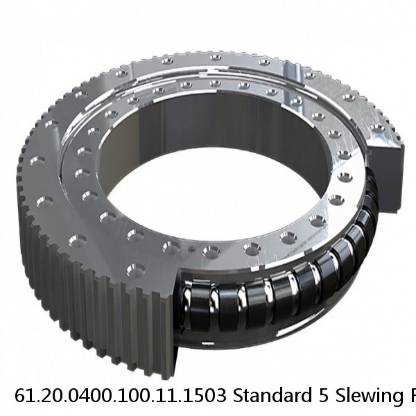 61.20.0400.100.11.1503 Standard 5 Slewing Ring Bearings #1 small image