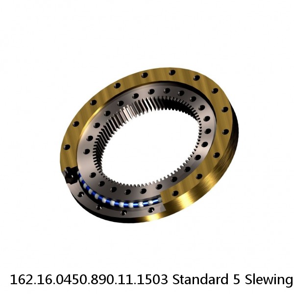 162.16.0450.890.11.1503 Standard 5 Slewing Ring Bearings #1 small image