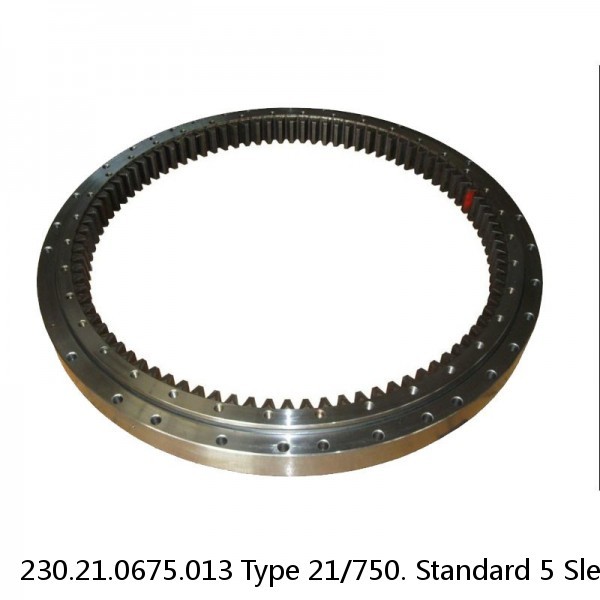 230.21.0675.013 Type 21/750. Standard 5 Slewing Ring Bearings #1 small image