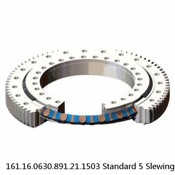 161.16.0630.891.21.1503 Standard 5 Slewing Ring Bearings #1 small image