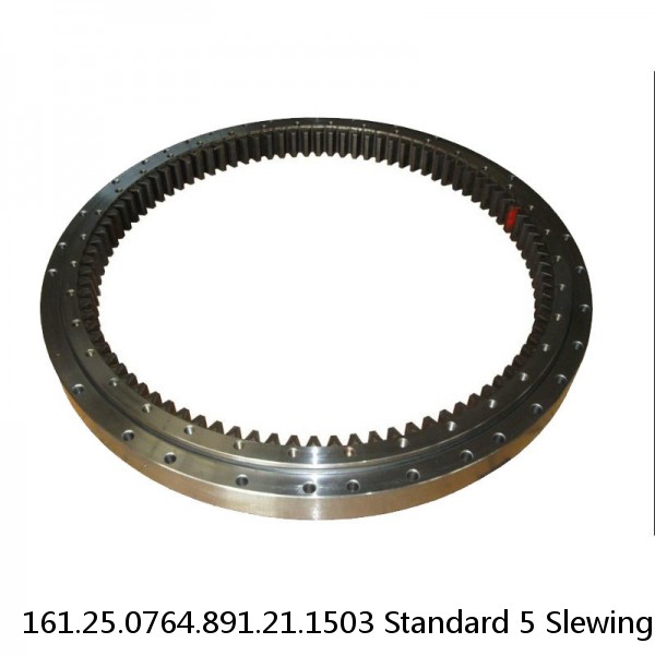 161.25.0764.891.21.1503 Standard 5 Slewing Ring Bearings #1 small image