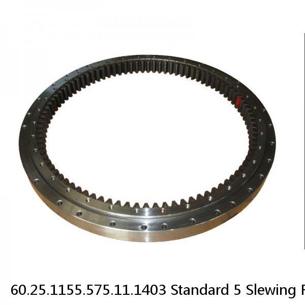 60.25.1155.575.11.1403 Standard 5 Slewing Ring Bearings #1 small image