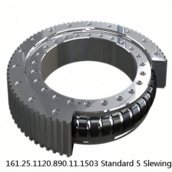 161.25.1120.890.11.1503 Standard 5 Slewing Ring Bearings #1 small image