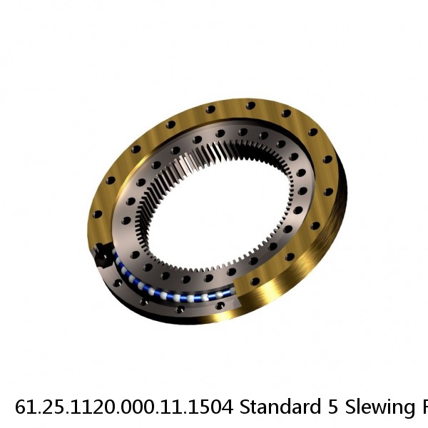 61.25.1120.000.11.1504 Standard 5 Slewing Ring Bearings #1 small image