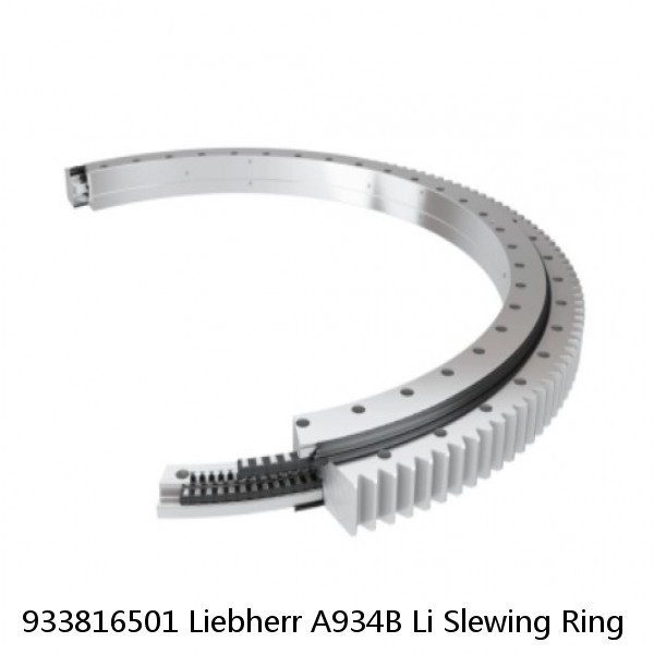 933816501 Liebherr A934B Li Slewing Ring #1 image