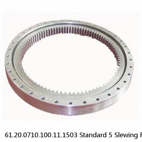 61.20.0710.100.11.1503 Standard 5 Slewing Ring Bearings #1 image