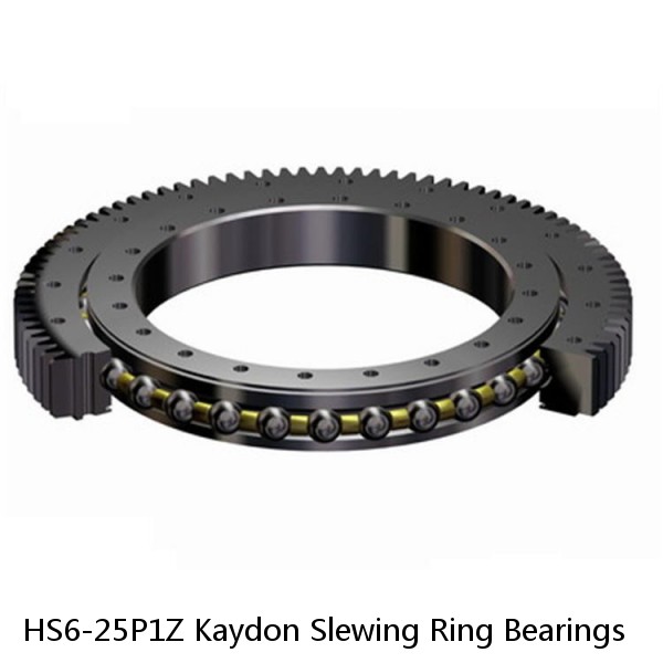 HS6-25P1Z Kaydon Slewing Ring Bearings #1 image