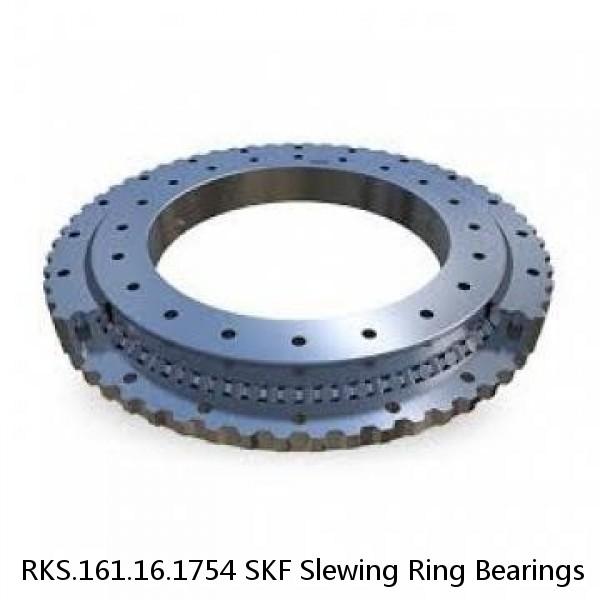 RKS.161.16.1754 SKF Slewing Ring Bearings #1 image