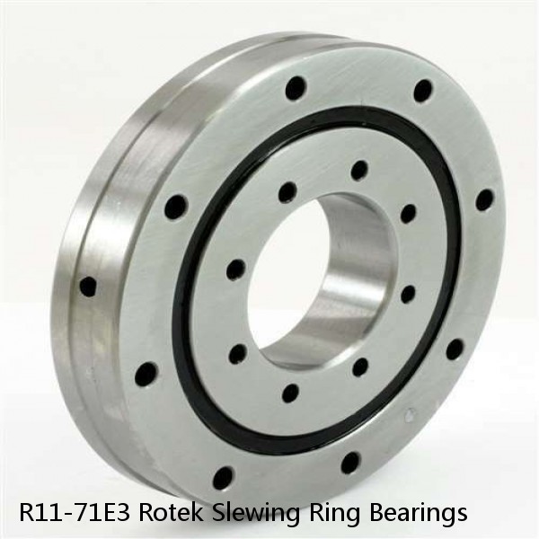 R11-71E3 Rotek Slewing Ring Bearings #1 image