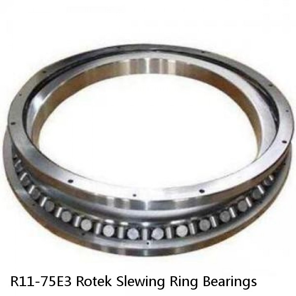 R11-75E3 Rotek Slewing Ring Bearings #1 image