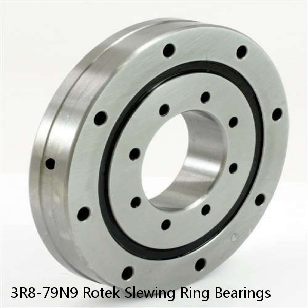 3R8-79N9 Rotek Slewing Ring Bearings #1 image