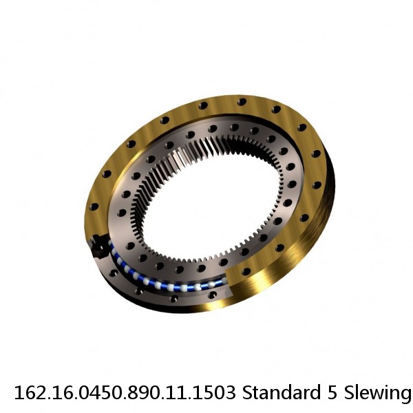 162.16.0450.890.11.1503 Standard 5 Slewing Ring Bearings #1 image