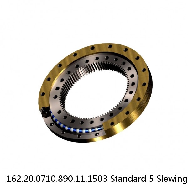 162.20.0710.890.11.1503 Standard 5 Slewing Ring Bearings #1 image