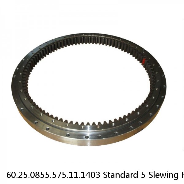 60.25.0855.575.11.1403 Standard 5 Slewing Ring Bearings #1 image