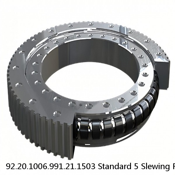 92.20.1006.991.21.1503 Standard 5 Slewing Ring Bearings #1 image