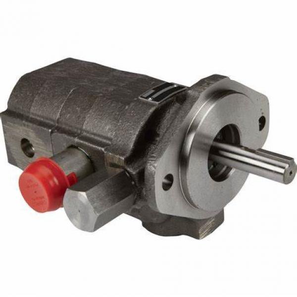 Parker PGP Series PGP500 PGP505 PGP511 PGP517 Hydraulic Gear Pump #1 image