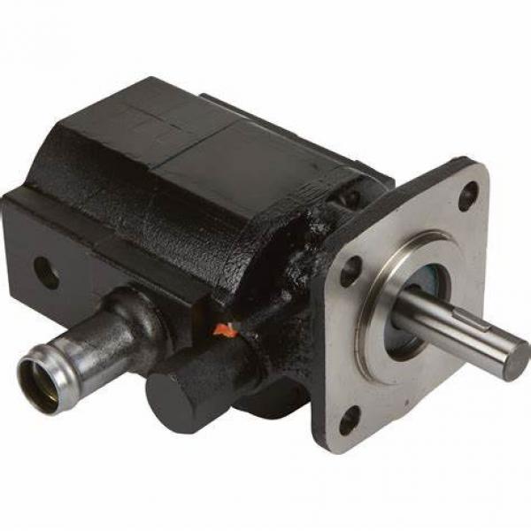 PGP500 PGP505 PGP511 PGP517 Full series Parker Hydraulic Oil Gear Pump PG30 #1 image