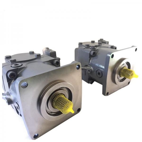 Replace Rexroth A4VSO series A4VSO40LRG/10R-PPB12N00 hydraulic pump #1 image