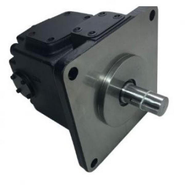 China Blince PV2r Hydraulic Motor Pump #1 image