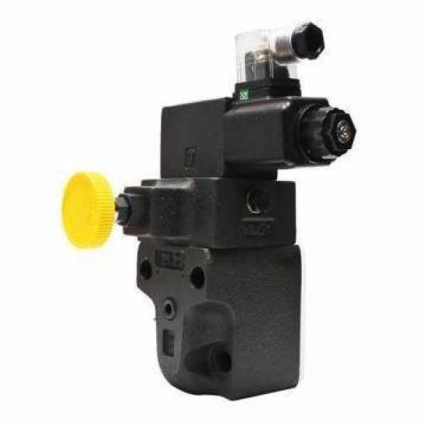 Blince PV2r Series Hydraulic Vane Pump (PV2R1/PV2R2/PV2R3) #1 image