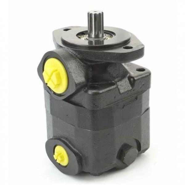 20vq 25vq Hydraulic Pump Vickers Vane Pump Cartridge Kits #1 image