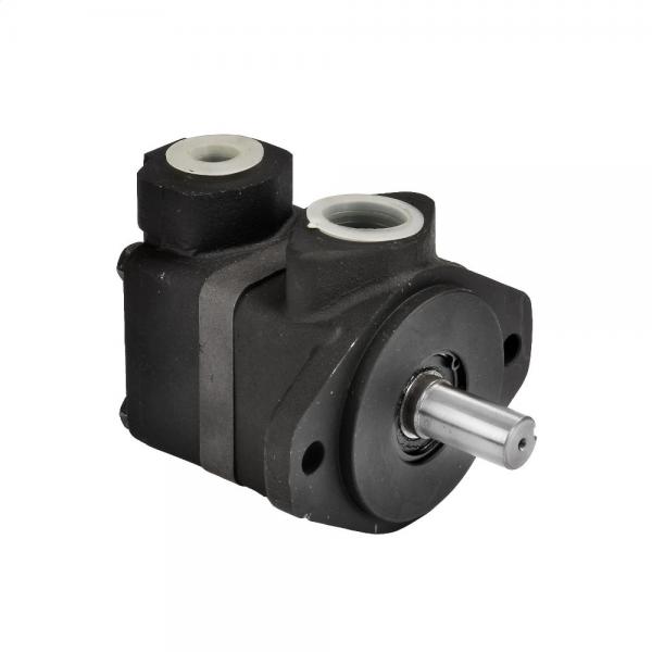 Vickers Mini Excavator Hydraulic Pump V10 V20 Series #1 image