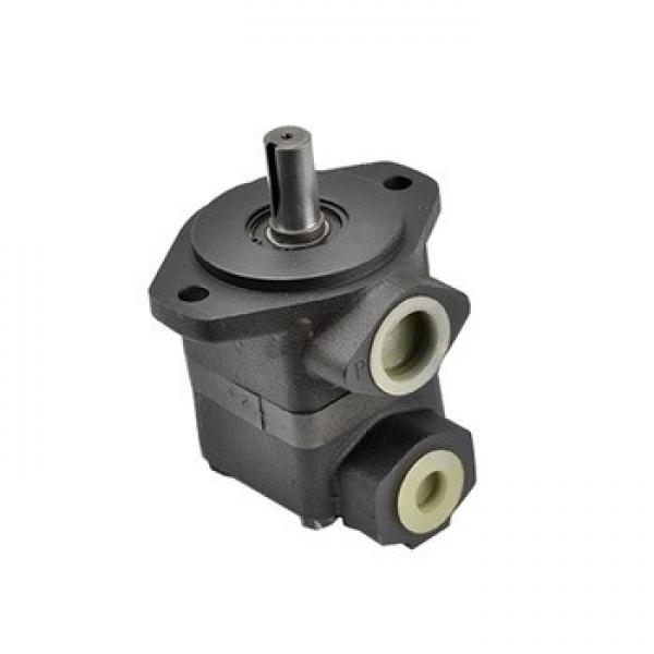 Provide Vickers V Series of 20V, 25V, 35V, 45V Hydraulic Vane Pump #1 image