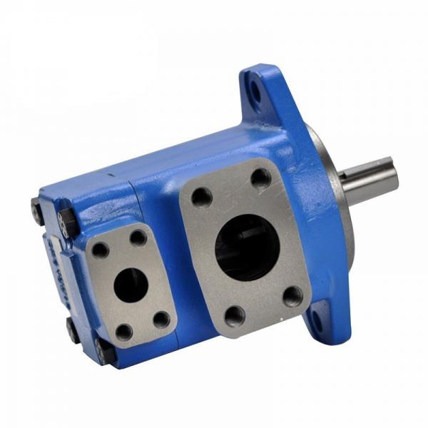 Hydraulic Vane Pump - V10*-**5*-**20 Vane Steering Pump #1 image