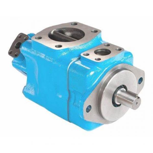 Hydraulic Vane Pump - V10*-**4*-**20 Vane Steering Pump; Hydraulic Motor Pump; Piston Pump; High Pressure Hydraulic Gear Pump #1 image
