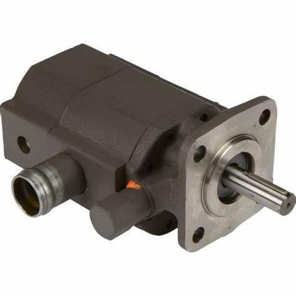 Parker PGP Series PGP500 PGP505 PGP511 PGP517 Hydraulic Gear Pump #1 image