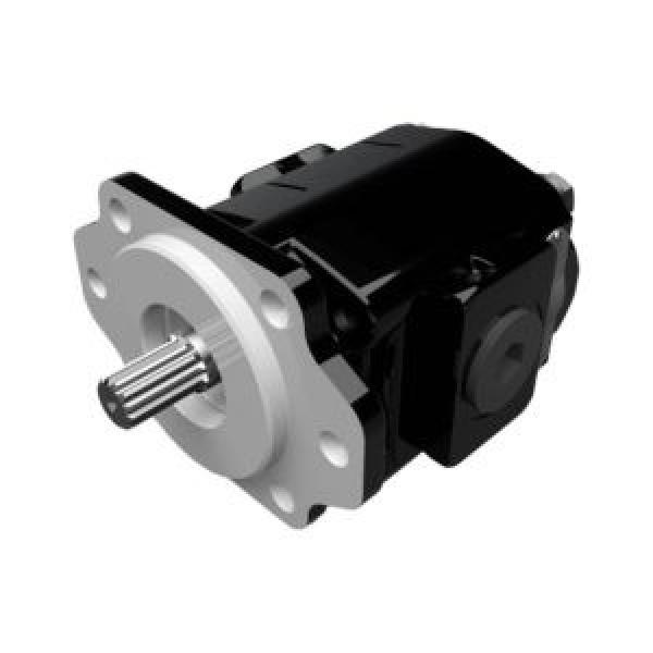 PARKER PGP500 PGP503 PGP505 Hydraulic Gear Pump #1 image