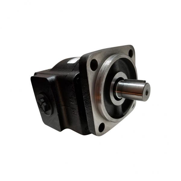 Parker PGP620 High Pressure Cast Iron Gear Pump 7029219070 #1 image