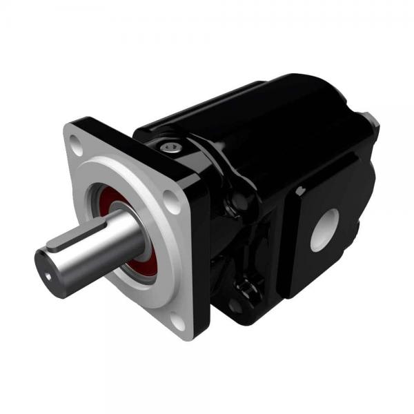 Parker PGP620 High Pressure Cast Iron Gear Pump 7029210007 #1 image