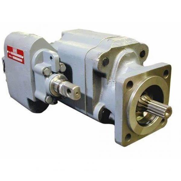 SGP2-44 SGP2-48 SGP2-52 Shimadzu hydraulic crane gear pump nabco hydraulic pump #1 image