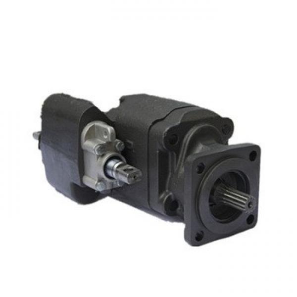 Gear Pump, Dump Truck Parts, Lifting Pump, Heat Pump (C102) #1 image