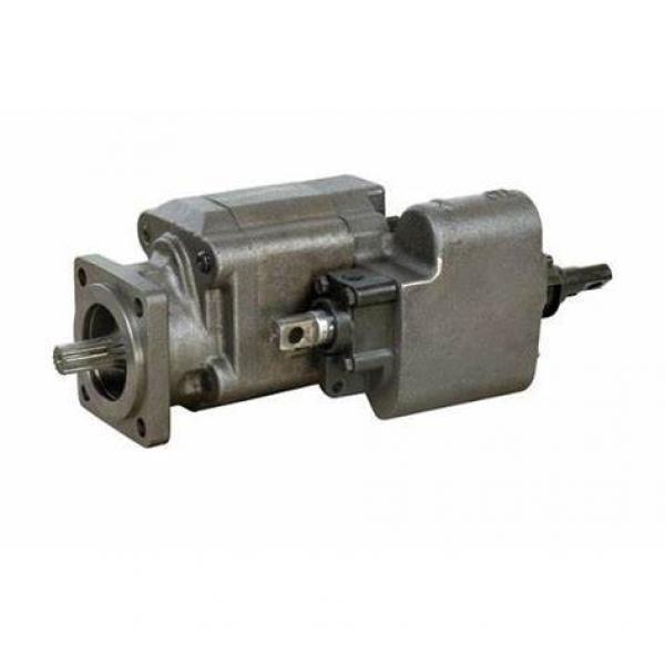 CBN-F320hydraulic C101 C102 Dump Pump Hydraulic Gear Pump From OEM Factory #1 image