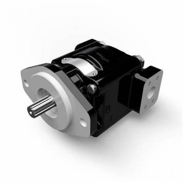 Parker Commercial P75 P76 Gear Pump #1 image