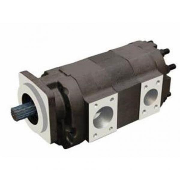 Parker/Commerical/Permco P330 Pump and Motor #1 image