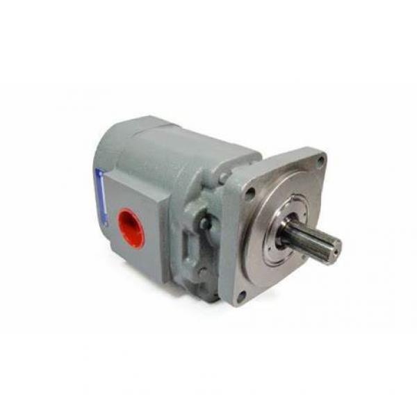 P330 Commercial/Parker/Permco Hydraulic Gear Pump #1 image