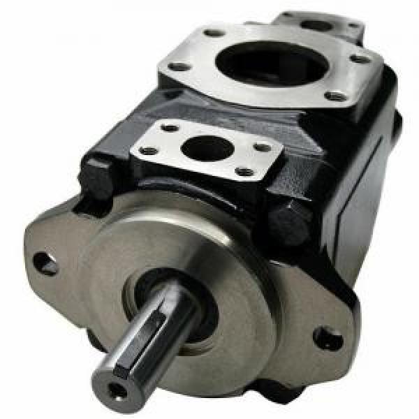 Denison Vane Pump T6 Series Double Vane Pump T6cc #1 image