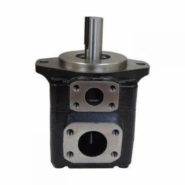 Equivalent Denison T6c Series Vane Pump #1 image