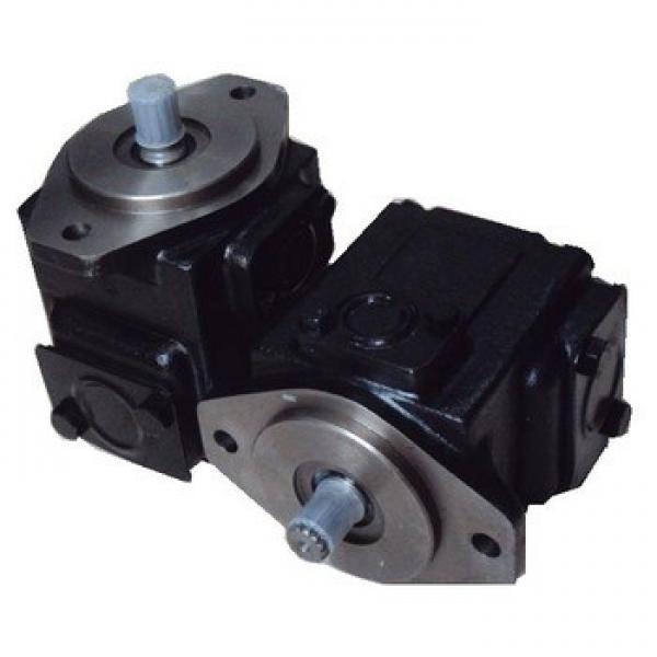 Equivalent T6, T7 Series Double Vane Pump T7bb, T7BBS, T67CB, T6cc, T67dB, T7dB, T6DC, T6dds, T67DC, T67eb, T6ec, T6ED, T67ED #1 image